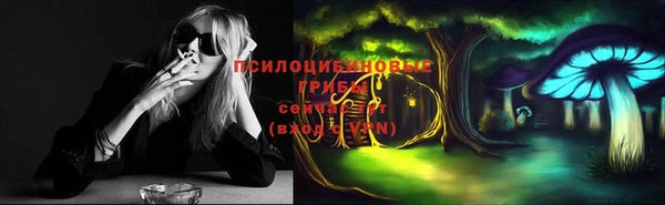ешки Алексин