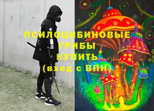 шишки Алзамай