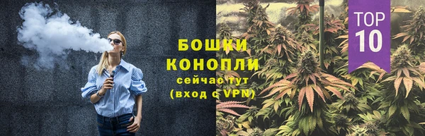 шишки Алзамай