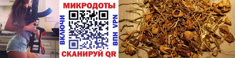 как найти наркотики  Орлов  Галлюциногенные грибы Cubensis 